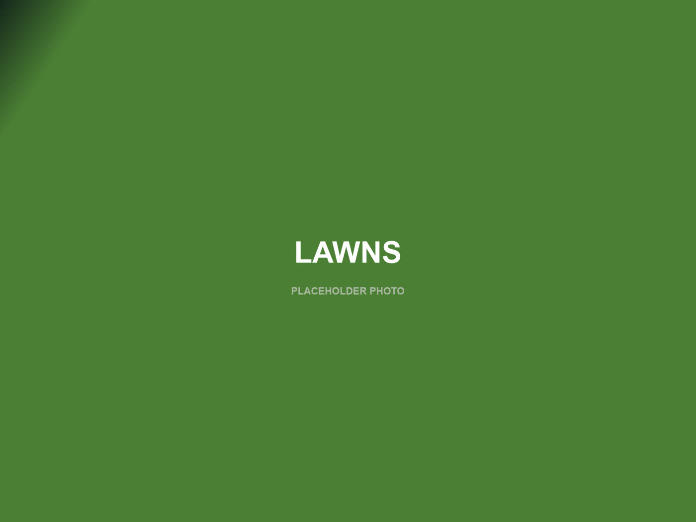 Freshly mowed and edged lawn — placeholder photo