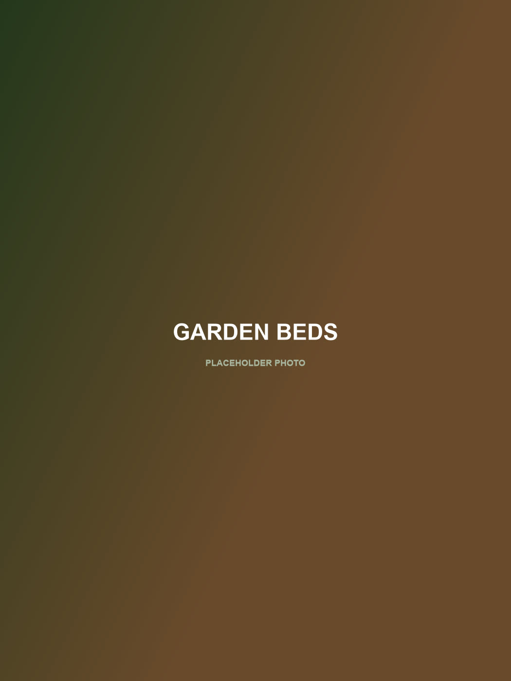 Newly planted garden bed — placeholder photo