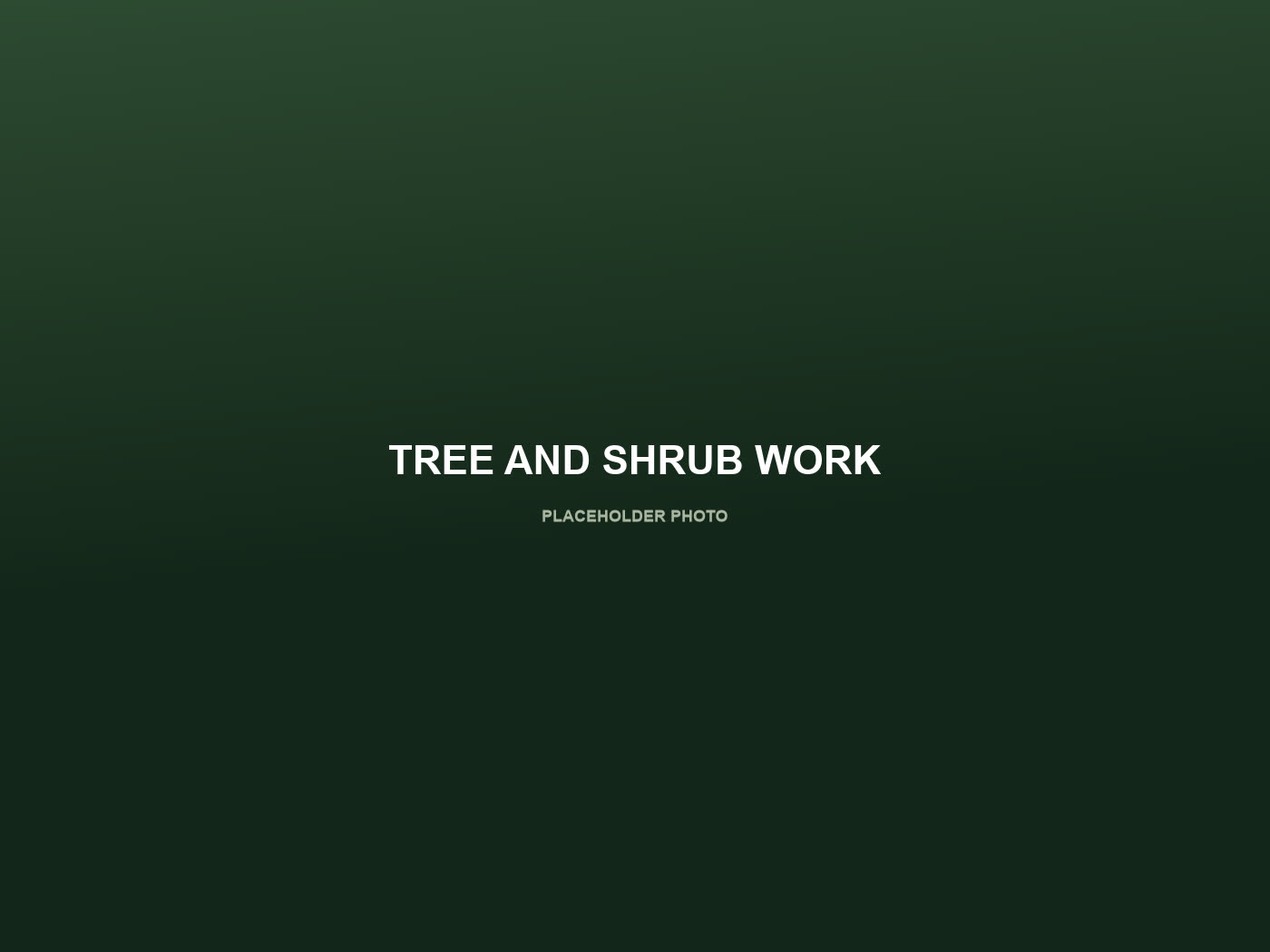 Tree and shrub pruning work — placeholder photo