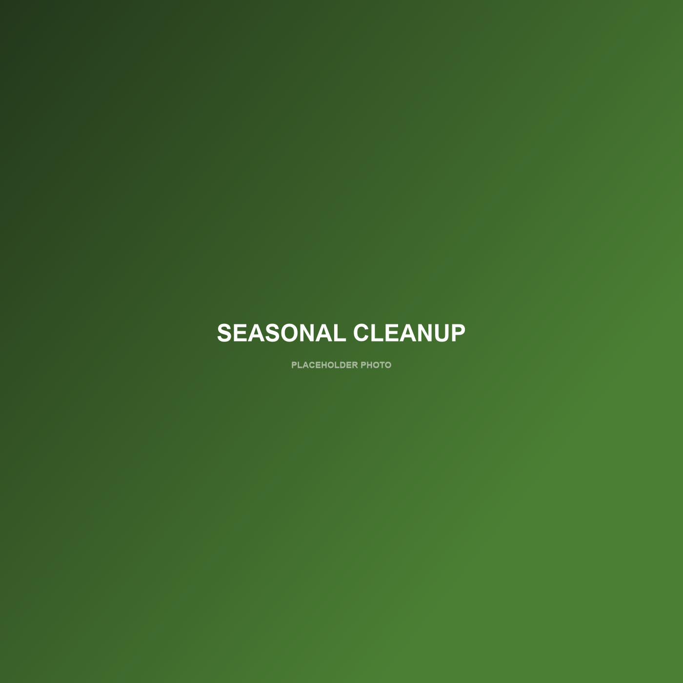 Seasonal yard cleanup — placeholder photo
