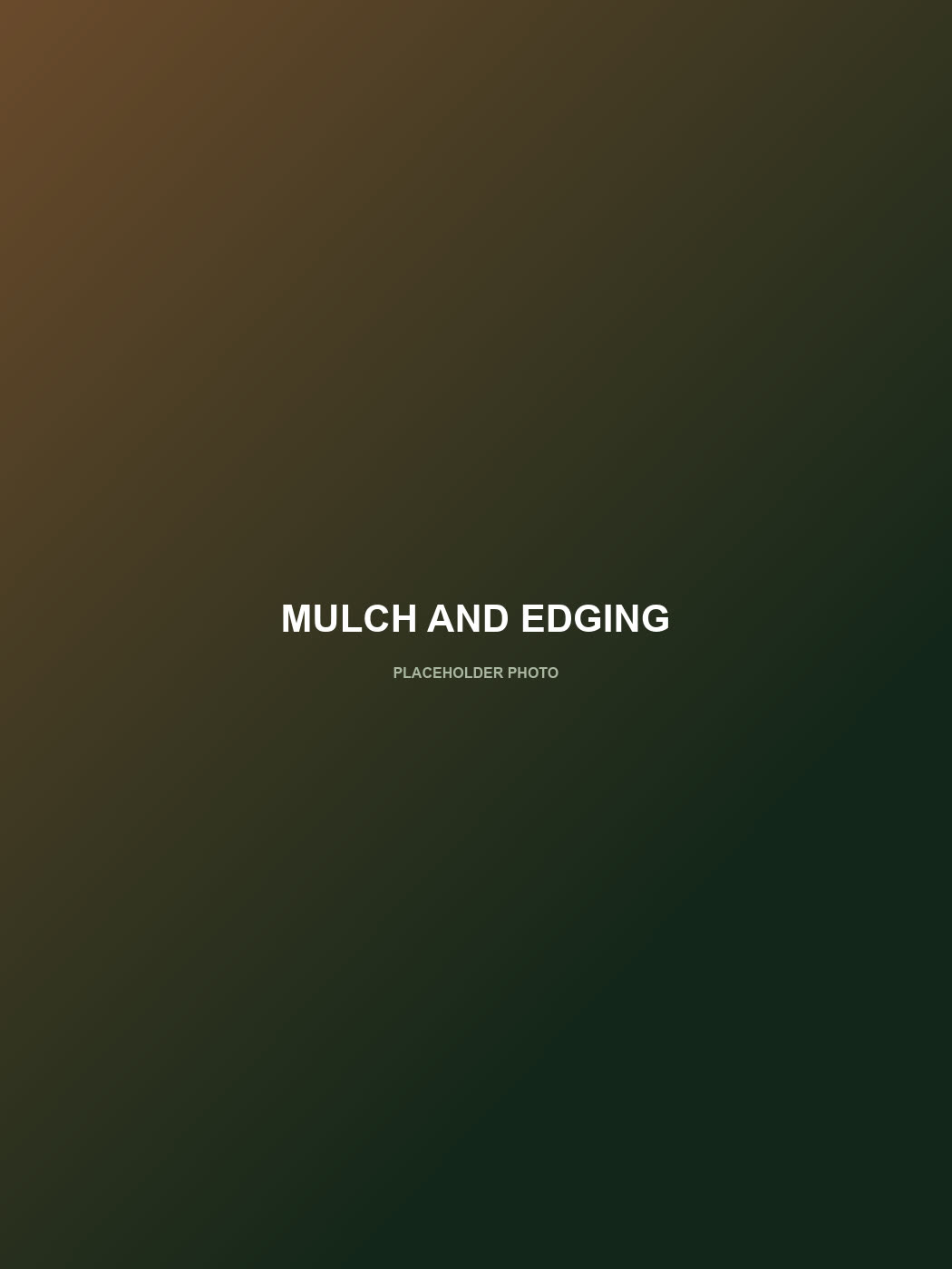 Fresh mulch and clean bed edging — placeholder photo